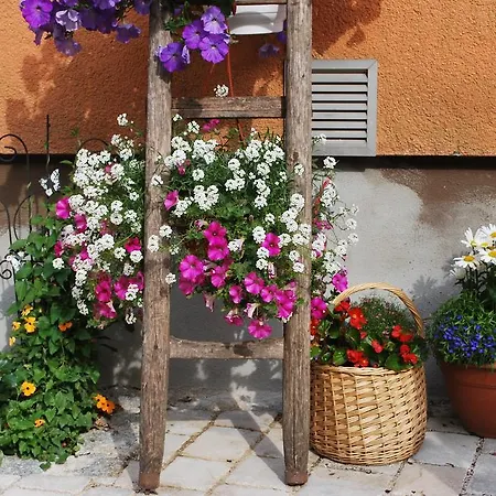 Bed & Breakfast Landgasthof Metzgerei Burghardt *